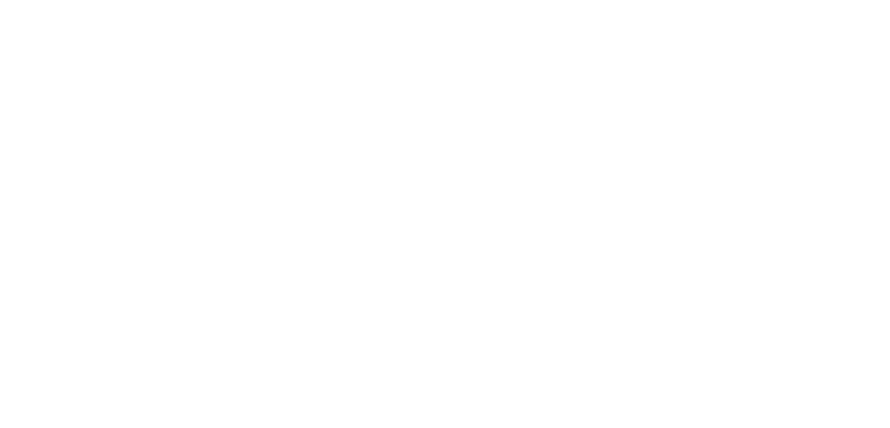 logo_LSR_tr_lite_800 logo_LSR_tr_lite_800